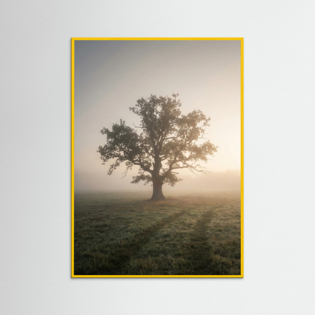 Yellow Wood Misty Forest Road