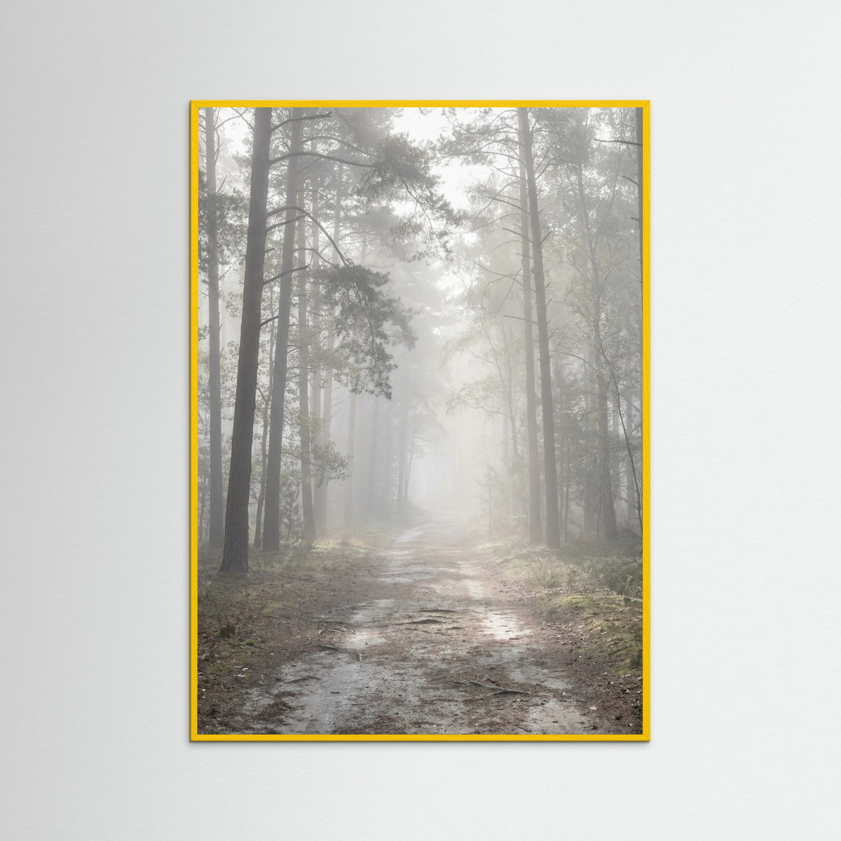 Yellow Wood Misty Lake Boat