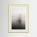 Yellow Wood Misty Solitude