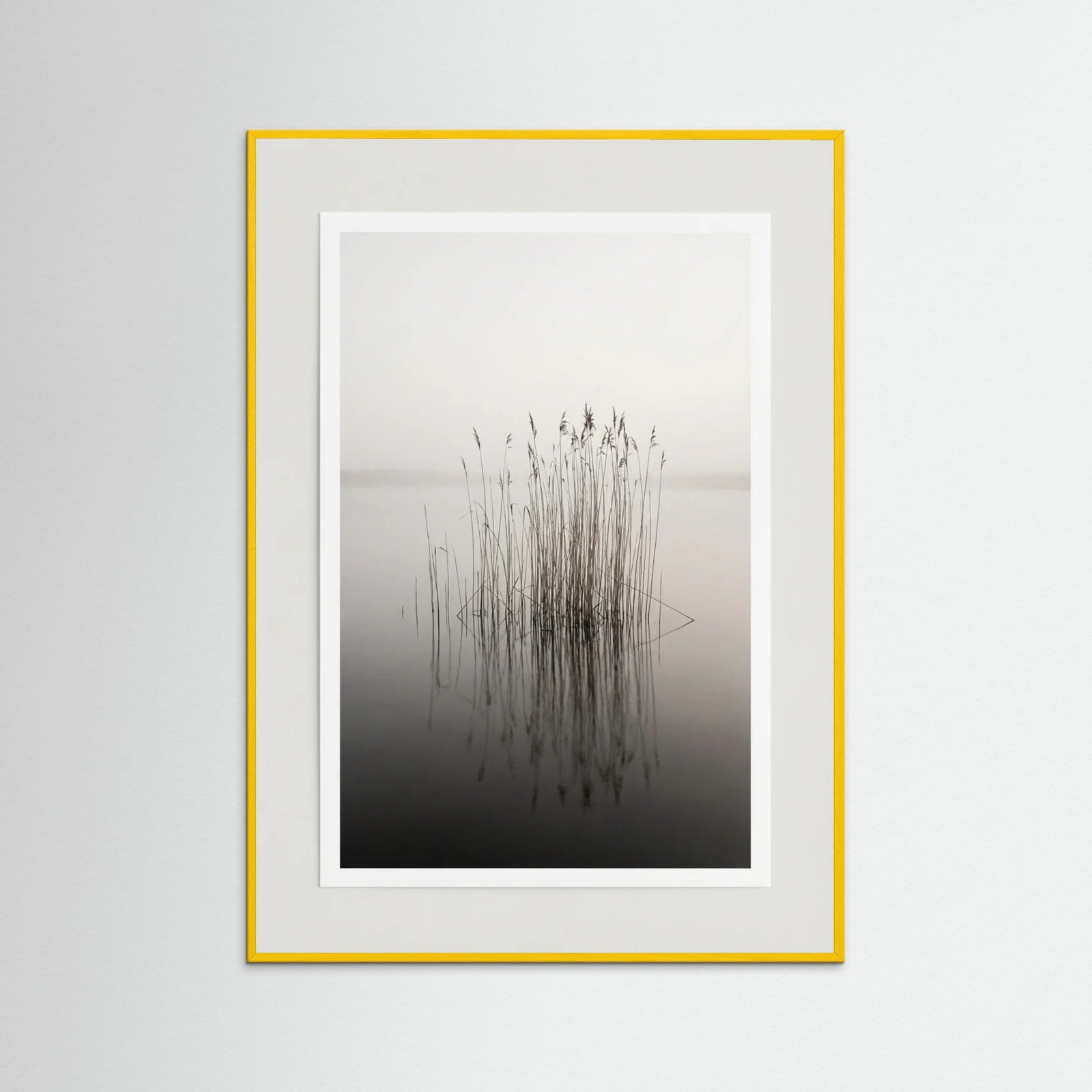 Yellow Wood Misty Solitude