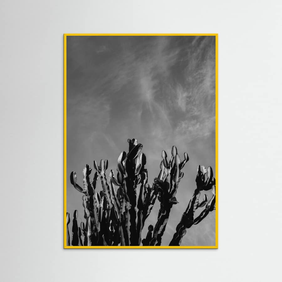 Yellow Wood Monochrome Cactus Sky Poster