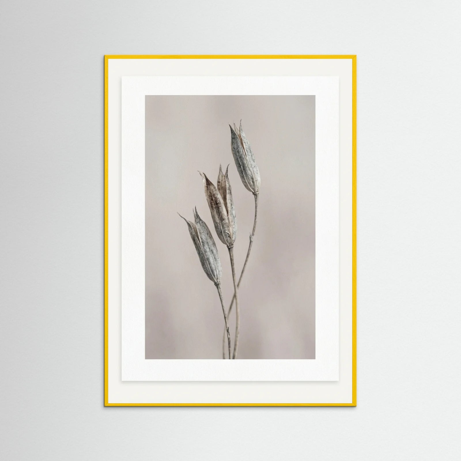 Yellow Wood Muted Bloom