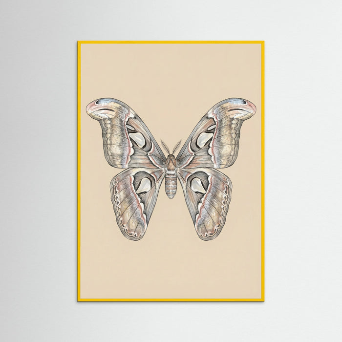 Yellow Wood Nocturnal Elegance