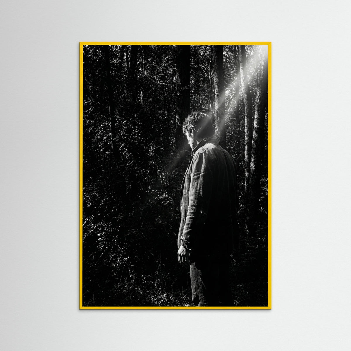 Yellow Wood Obscured Presence