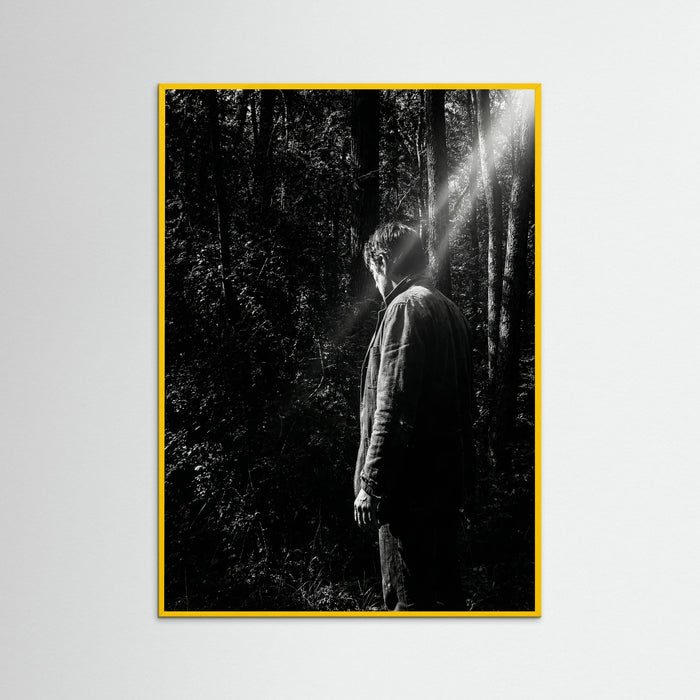 Yellow Wood Obscured Presence