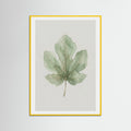 Yellow Wood Olive Branch Study