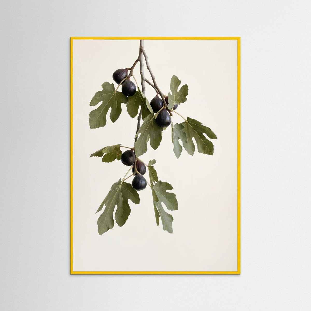 Yellow Wood Olive Serenity