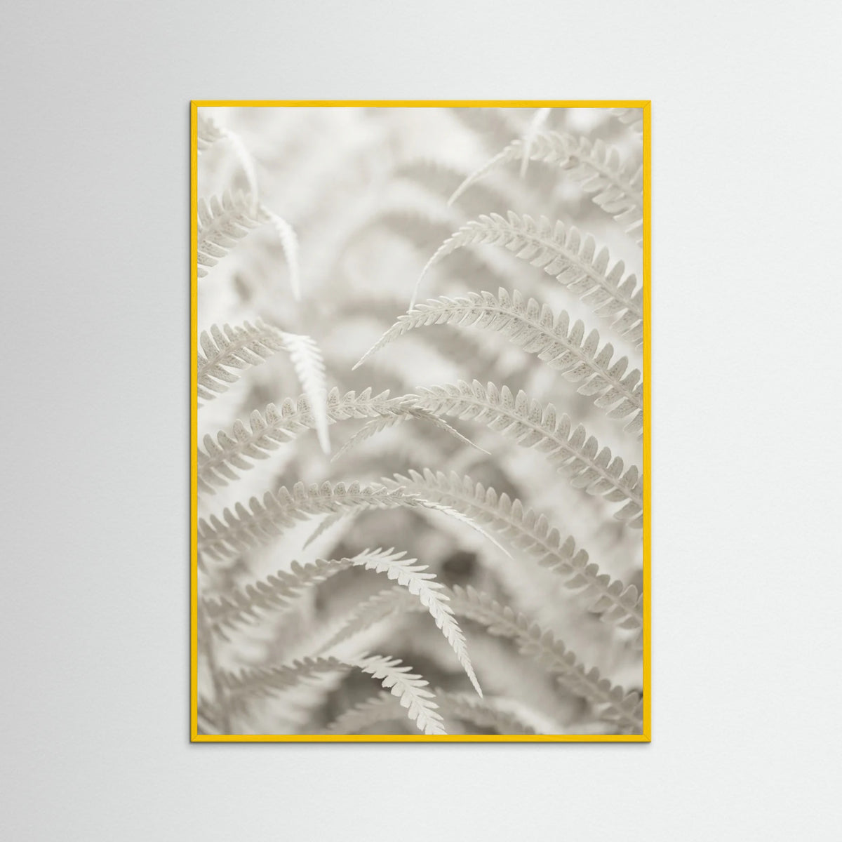 Yellow Wood Pale Elegance