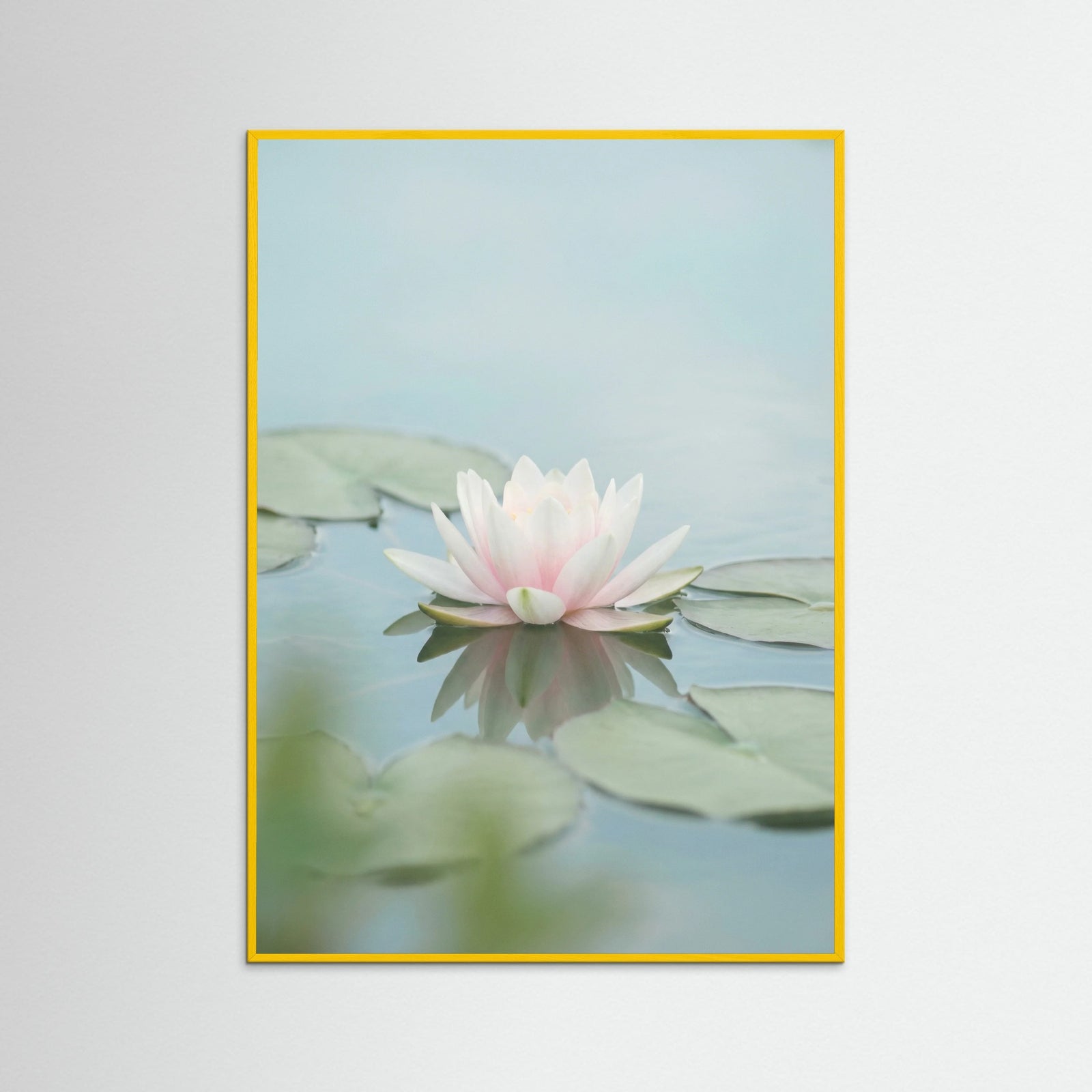 Yellow Wood Pink Lotus Serenity