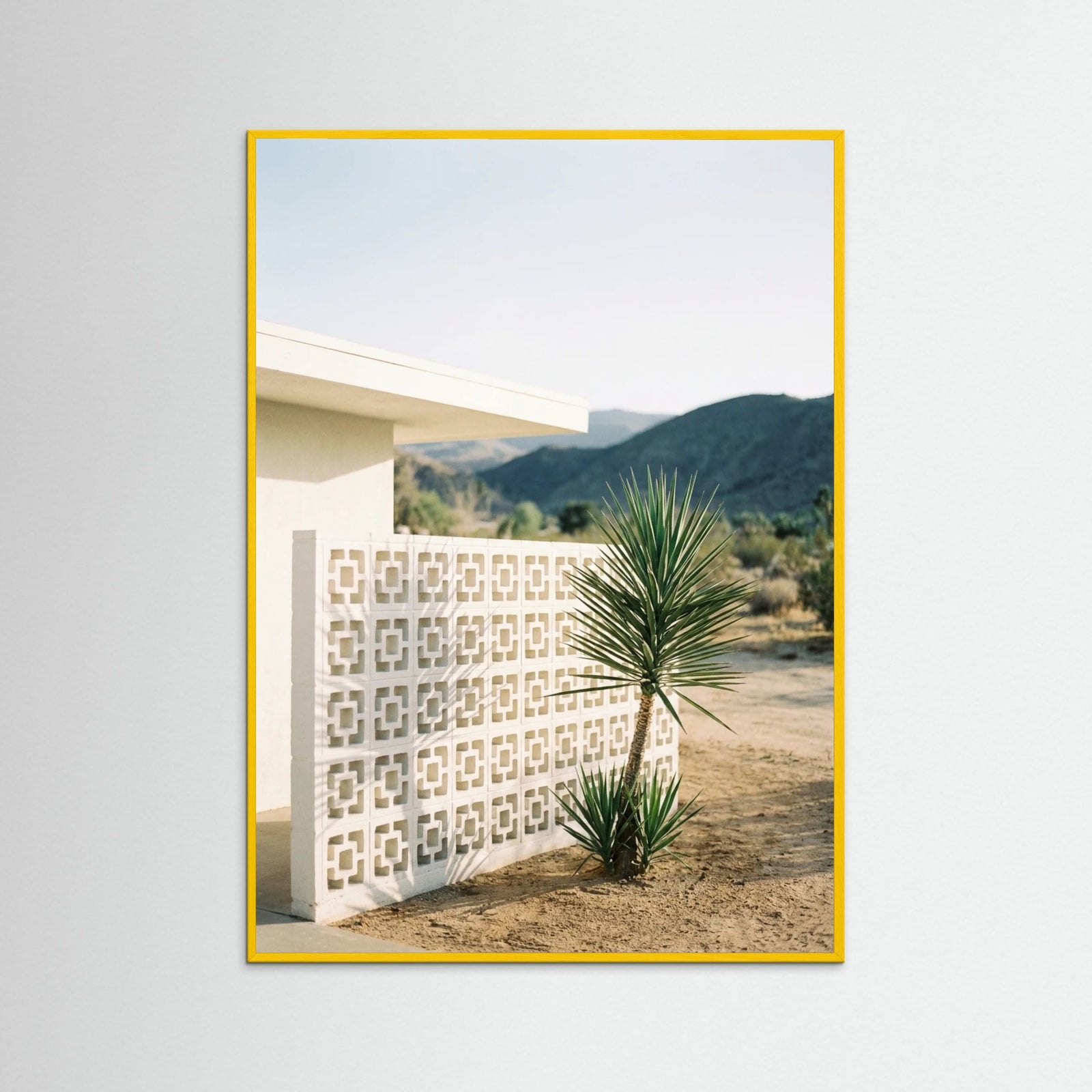 Yellow Wood Poolside Palms