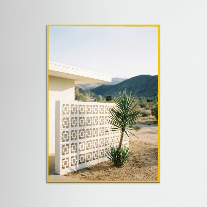 Yellow Wood Poolside Palms