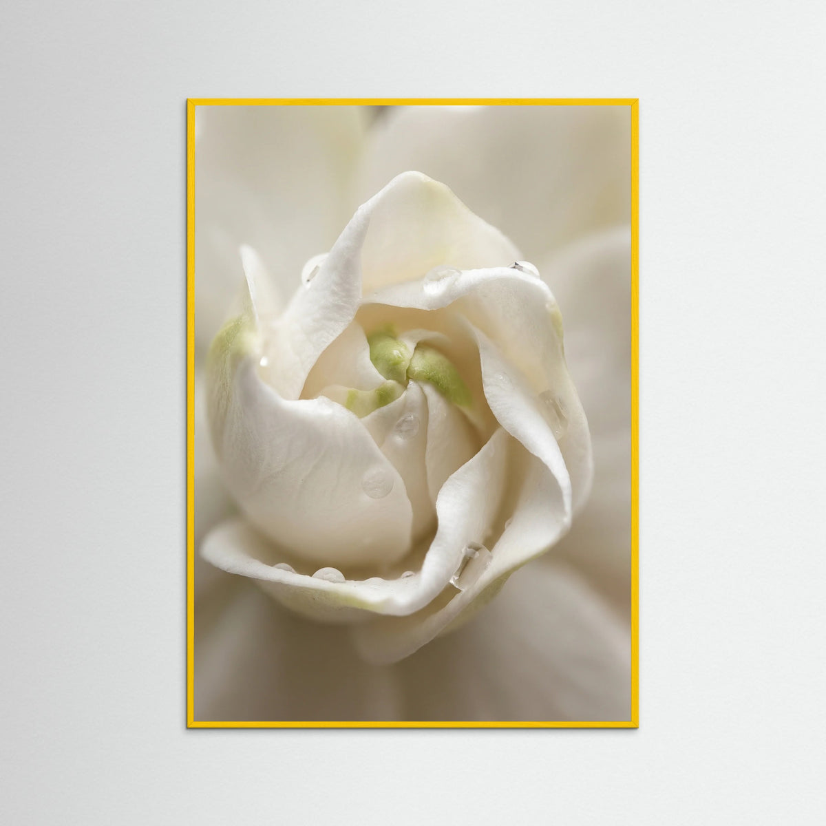 Yellow Wood Quiet Bloom