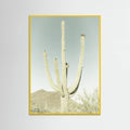 SAGUARO NATIONAL PARK Vintage Giant Saguaro -juliste – juliste ja taidepainatus