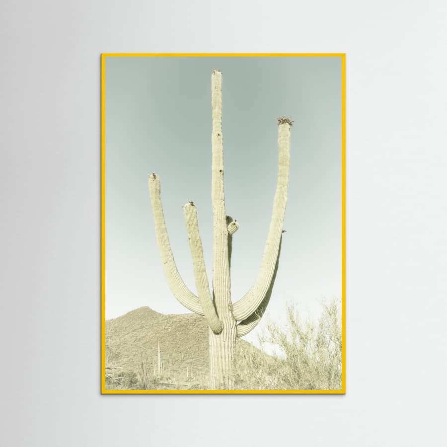 SAGUARO NATIONAL PARK Vintage Giant Saguaro -juliste – juliste ja taidepainatus