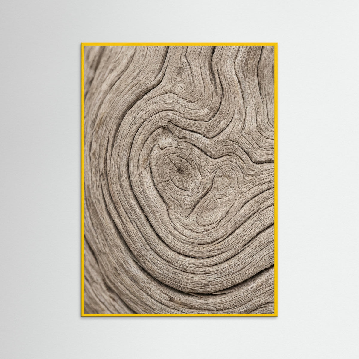 Yellow Wood Sandy Whisper
