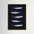Affiche Sardines – affiche et impression d’art