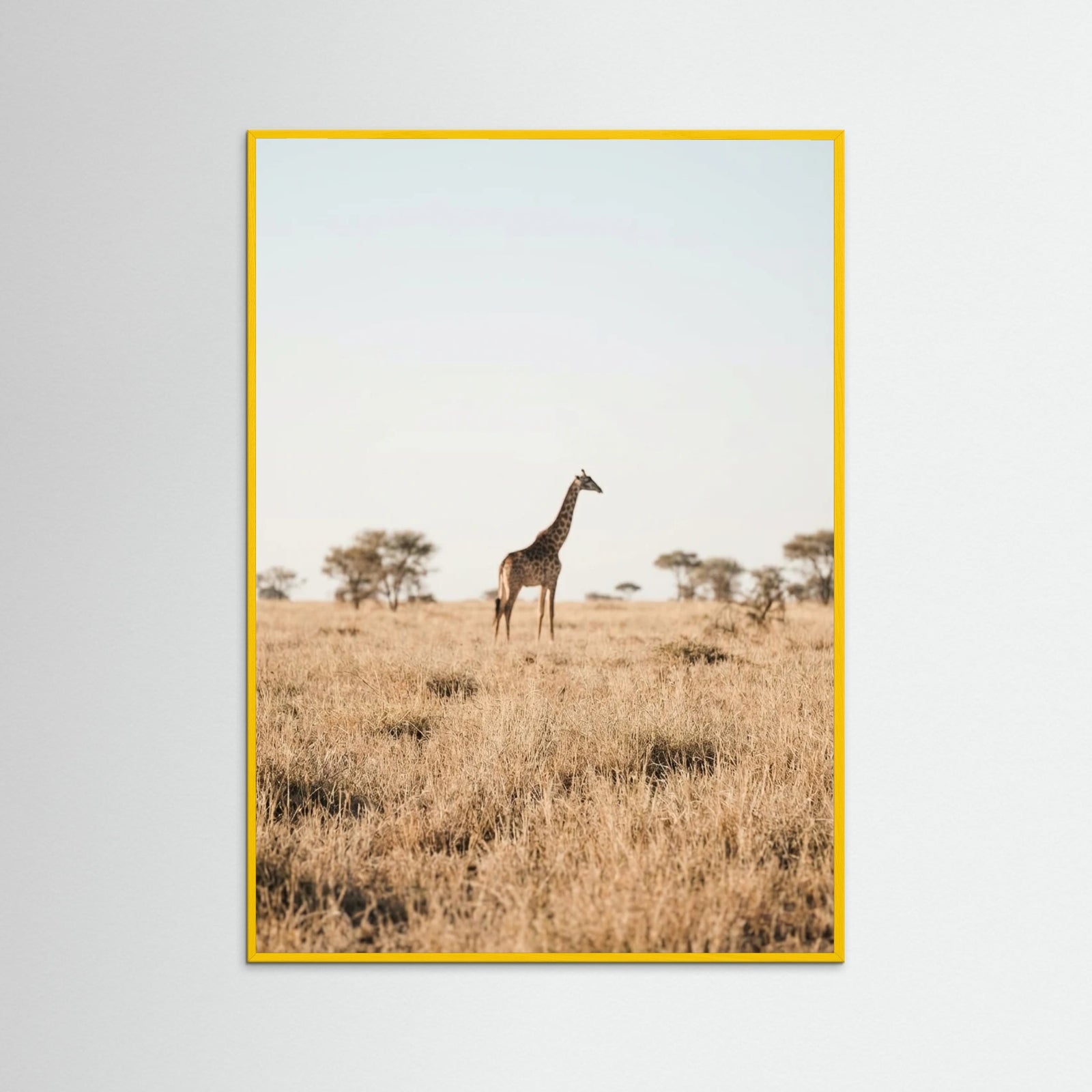 Yellow Wood Savannah Solitude