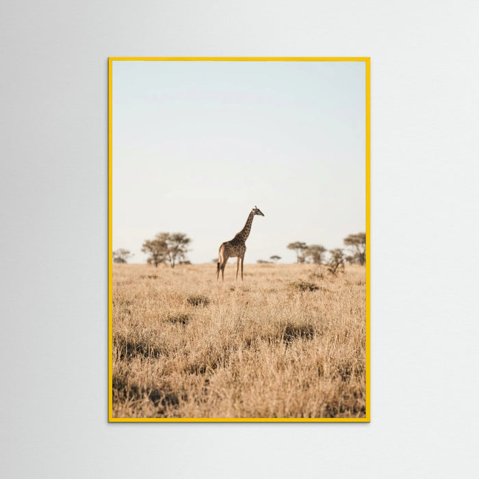 Yellow Wood Savannah Solitude