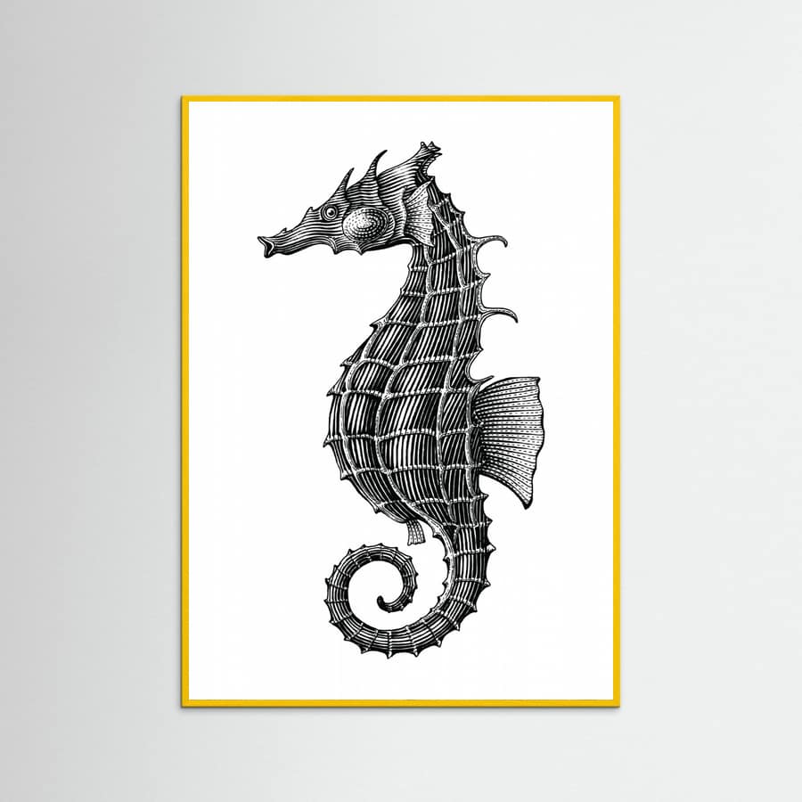 Affiche Seahorse – affiche et impression d’art