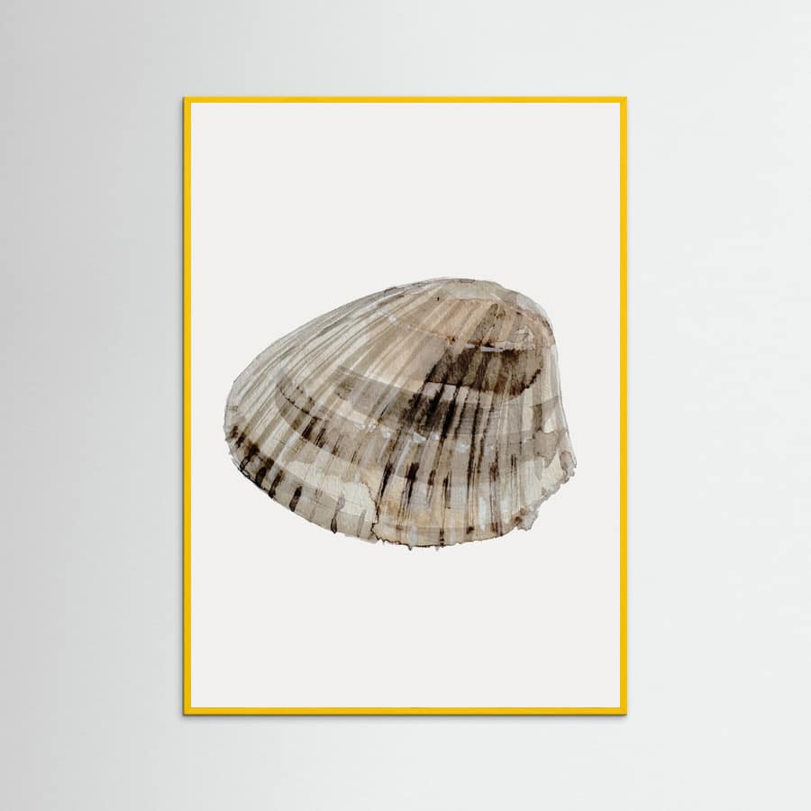 Poster Seashell – poster e stampa artistica