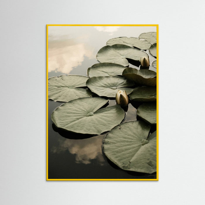 Yellow Wood Serene Bloom