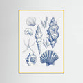Plakat Shell Collage – plakat i druk artystyczny