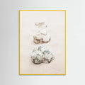 Poster Shells – poster e stampa artistica