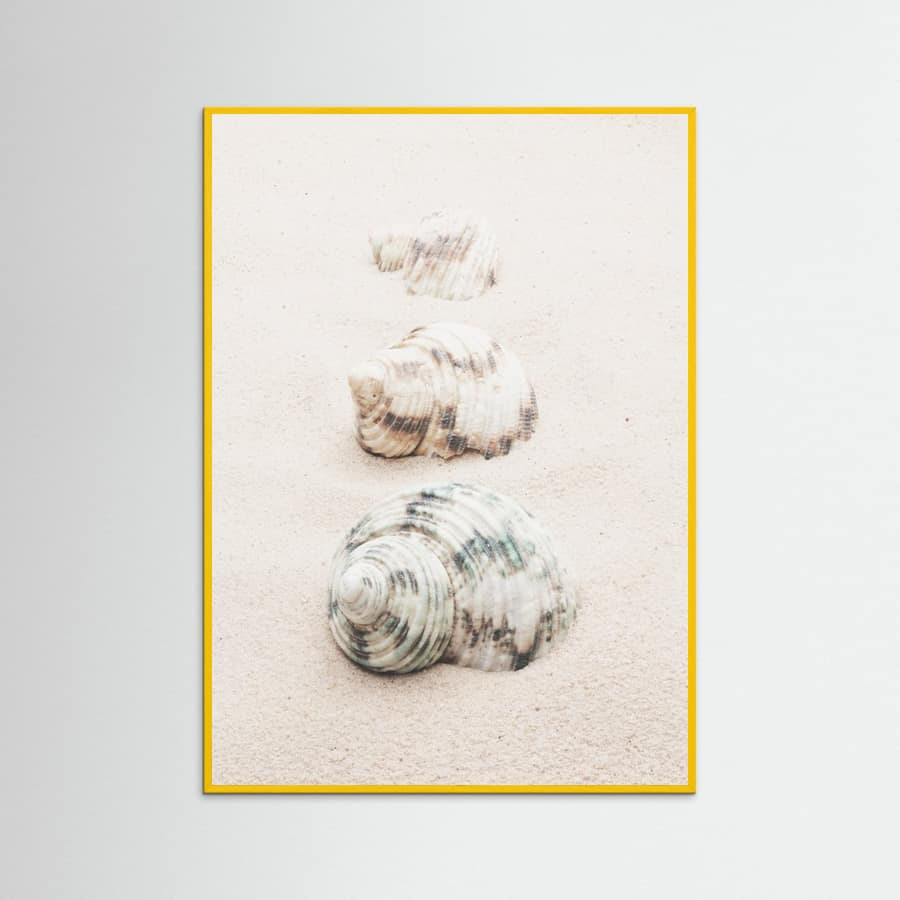 Poster Shells – poster e stampa artistica