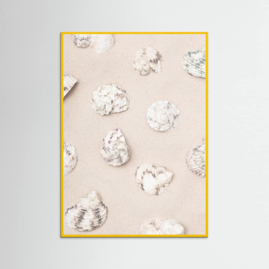 Shells_2 Poster – Poster und Kunstdruck
