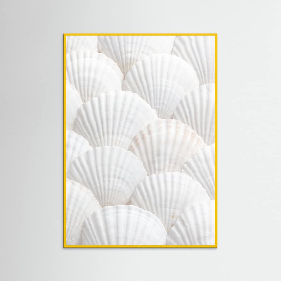 Shells_3 Poster – plakat og kunsttryk