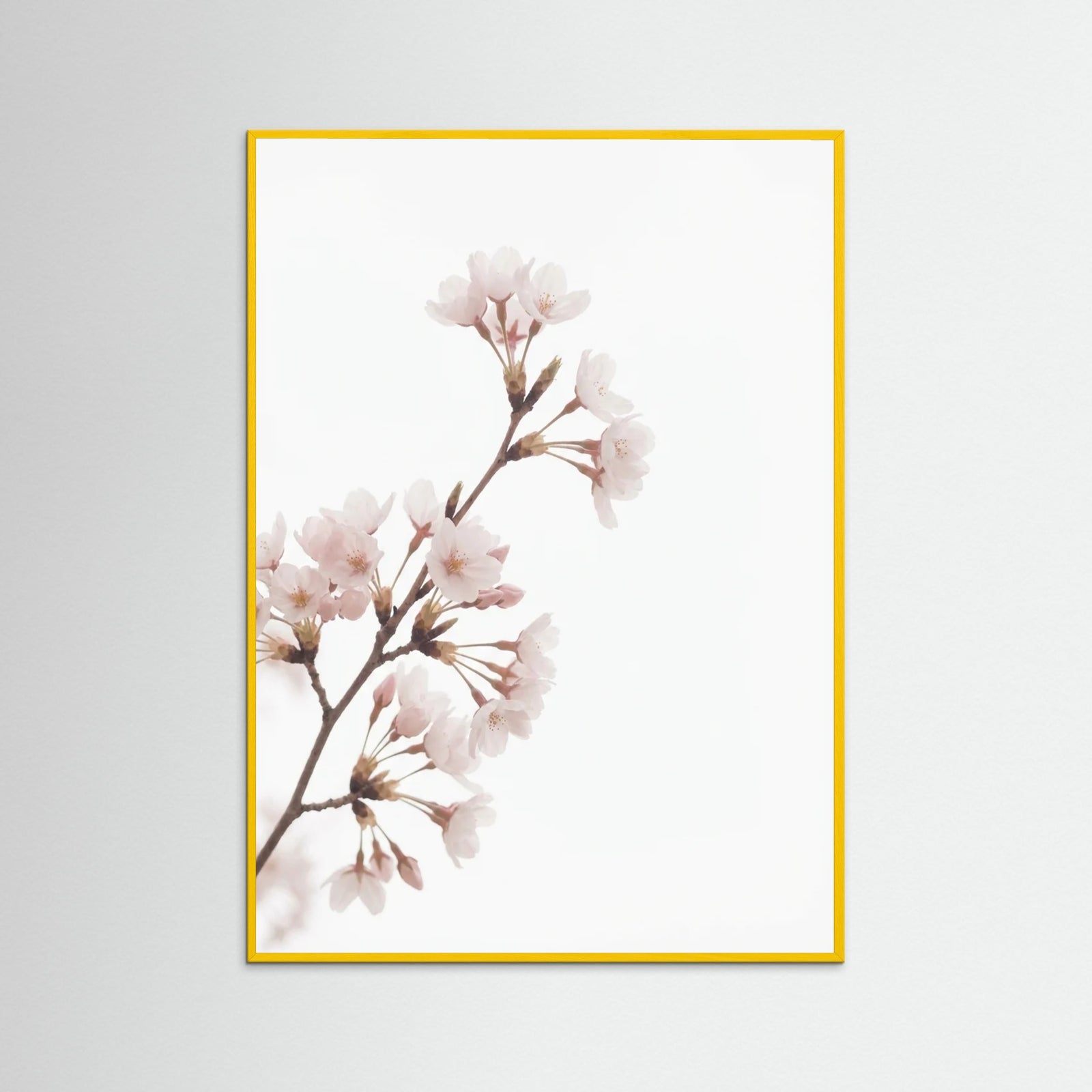 Yellow Wood Soft Bloom Study