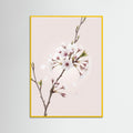 Yellow Wood Soft Bloom
