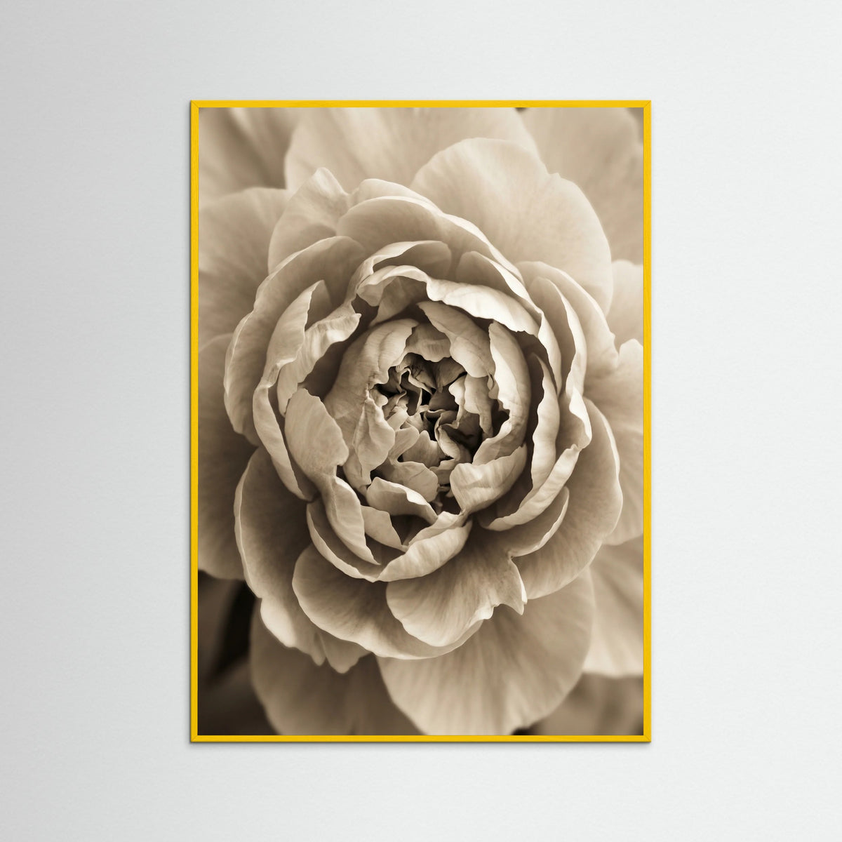 Yellow Wood Soft Petals