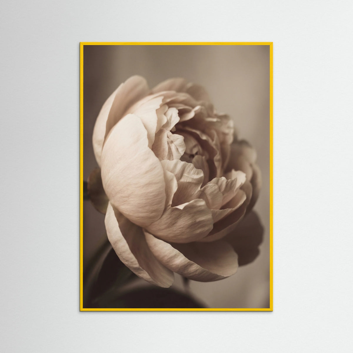 Yellow Wood Soft Rose Embrace