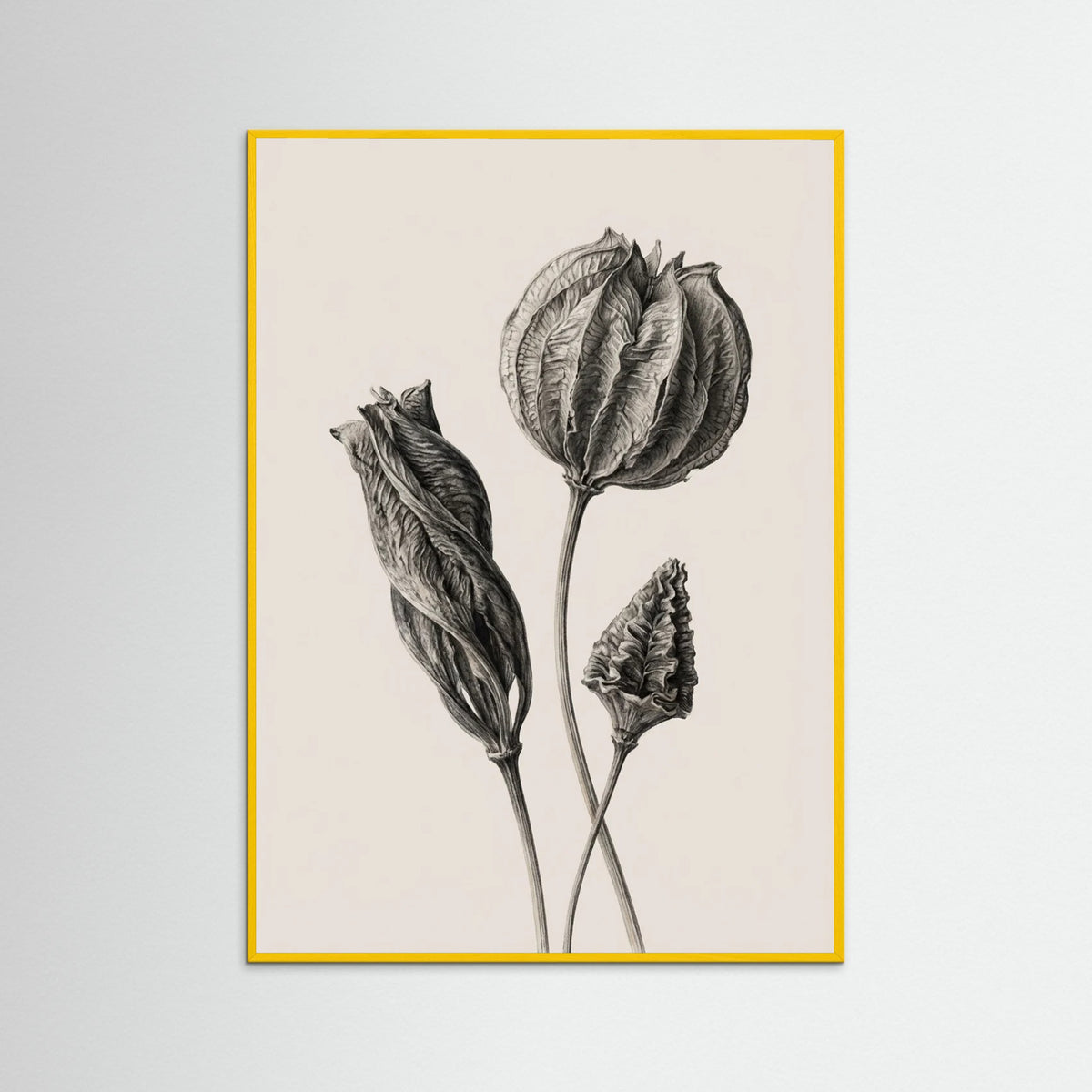 Yellow Wood Solitary Bloom