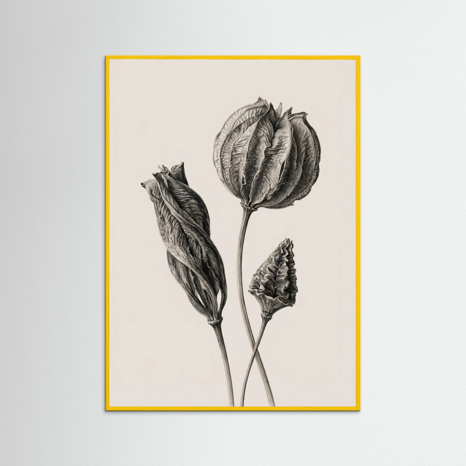 Yellow Wood Solitary Bloom