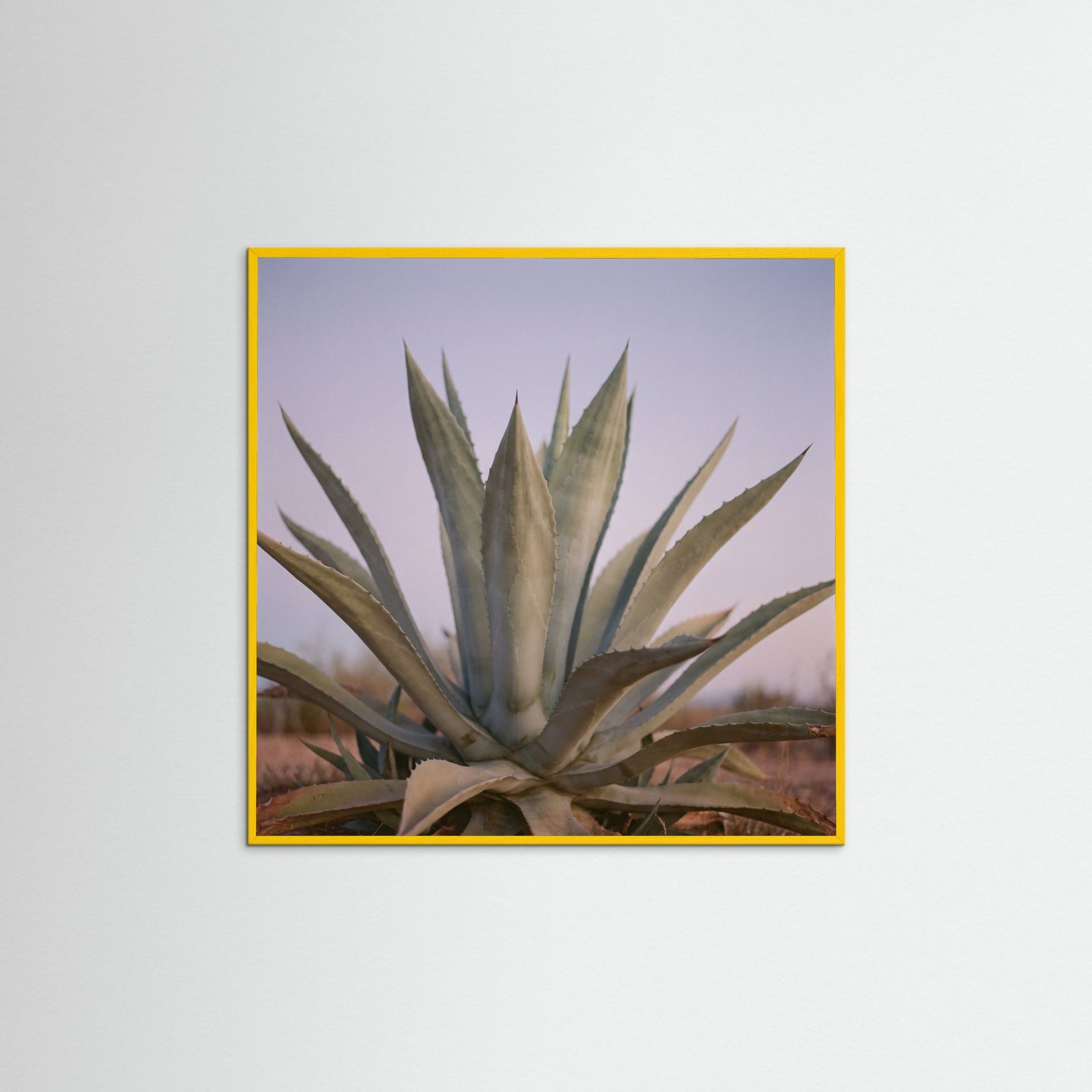 Yellow Wood Square Muted Opuntia