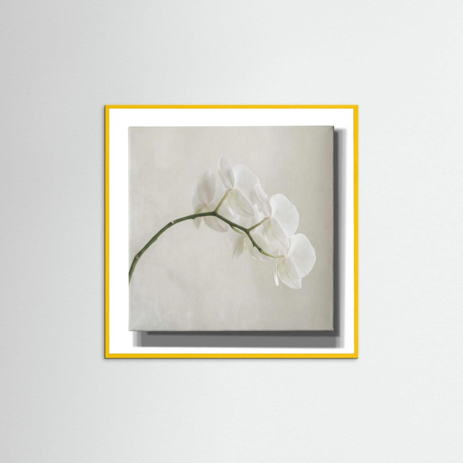 Yellow Wood Square Quiet Bloom