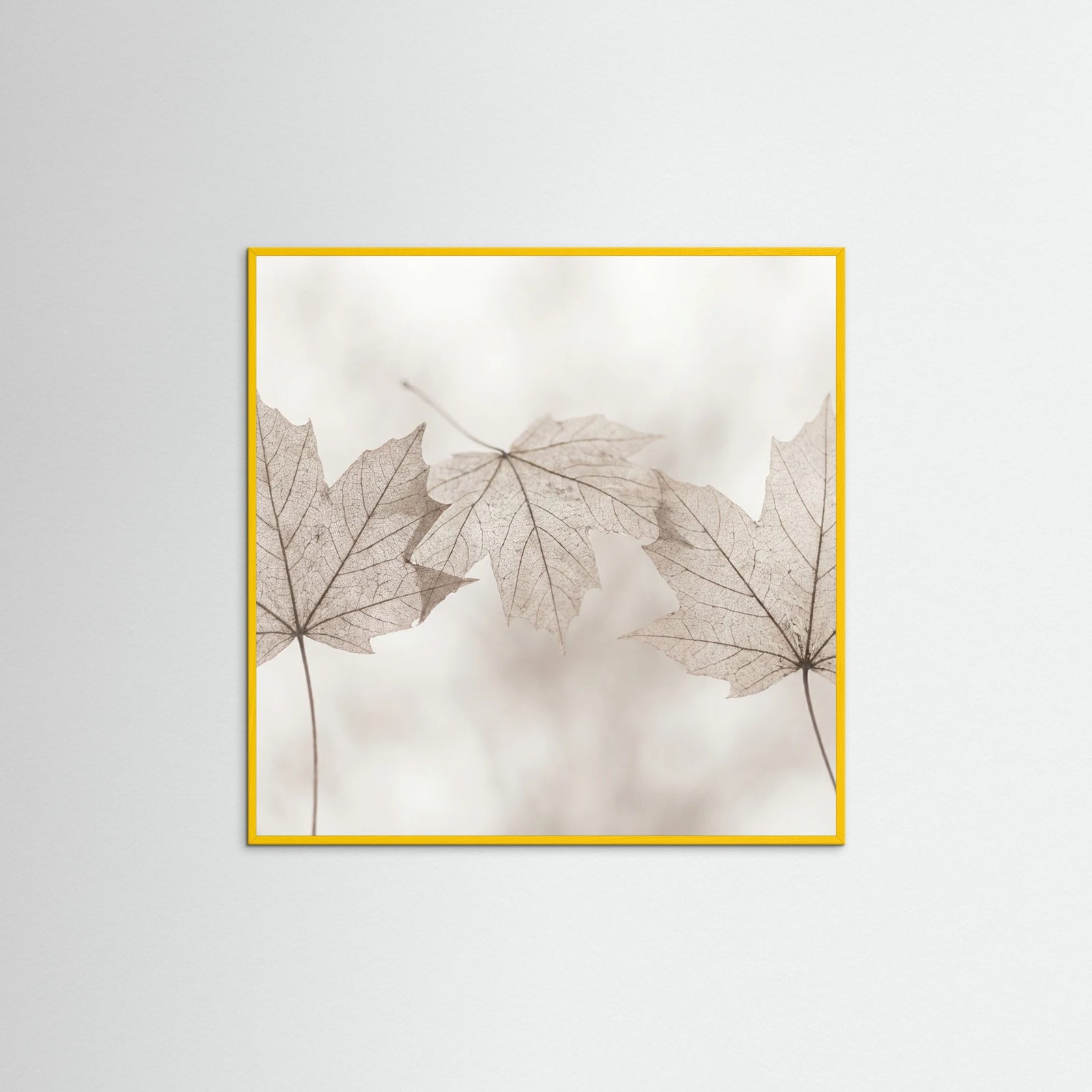 Yellow Wood Square Winters Whispers