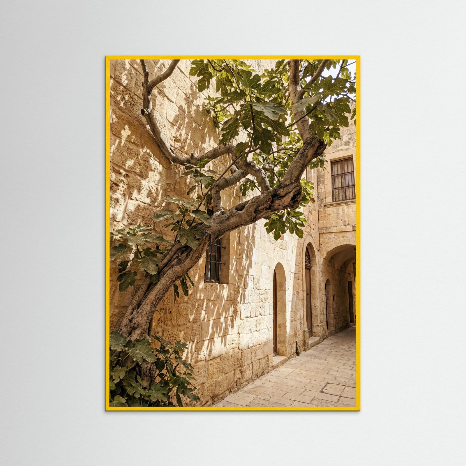 Yellow Wood Sunlit Courtyard Olive