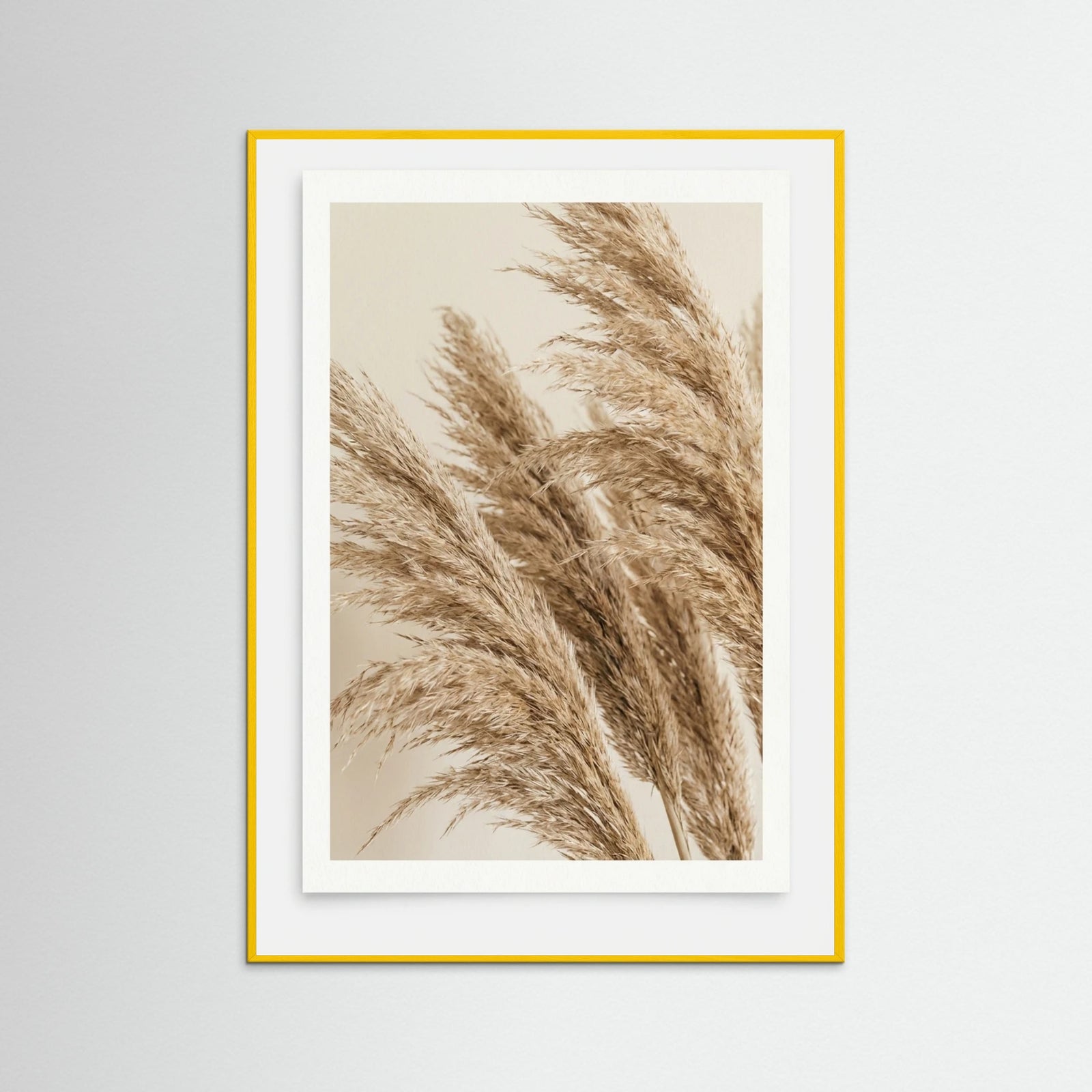 Yellow Wood Sunlit Frond