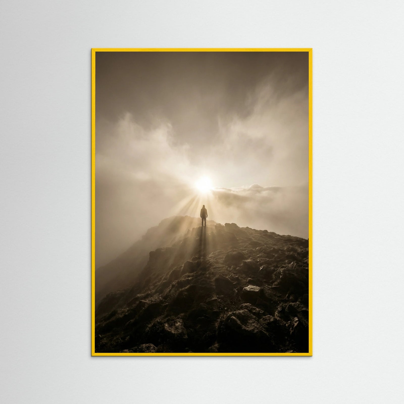 Yellow Wood Sunlit Tree