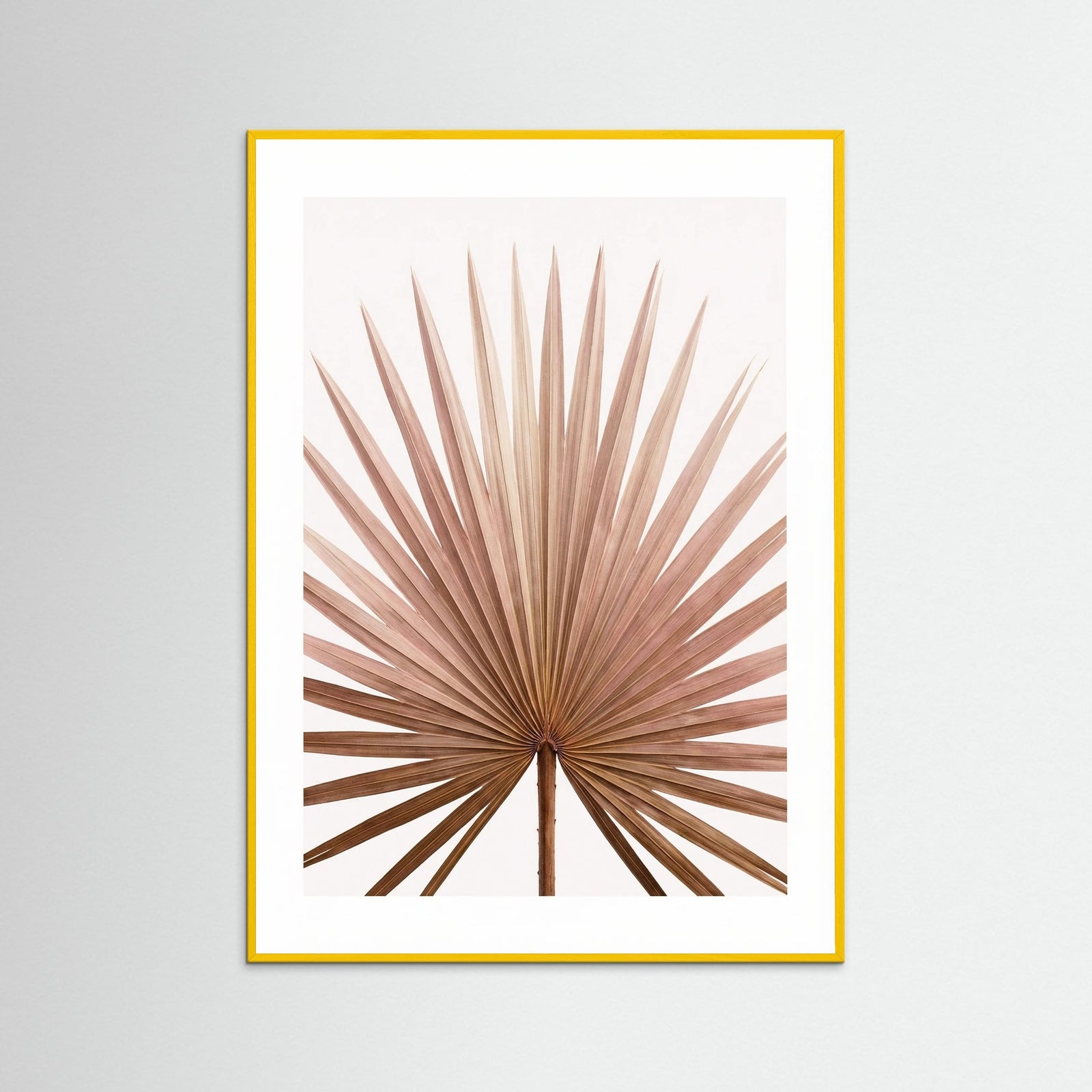 Yellow Wood Tropical Blush