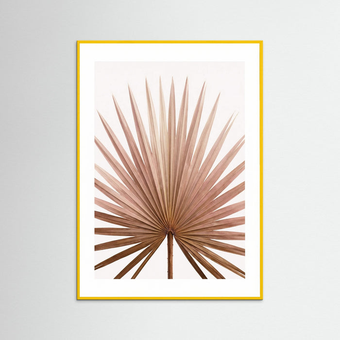 Yellow Wood Tropical Blush