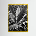 Yellow Wood Tropical Canopy