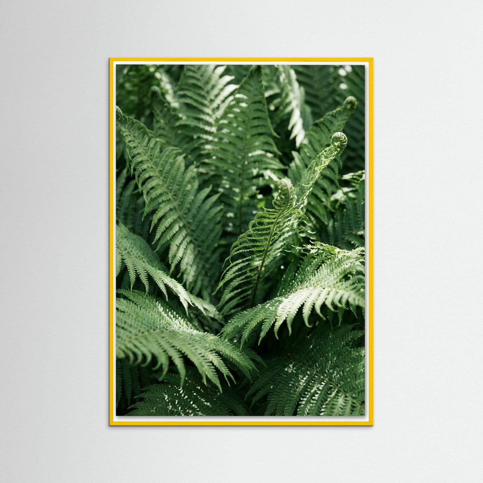 Yellow Wood Tropical Serenity