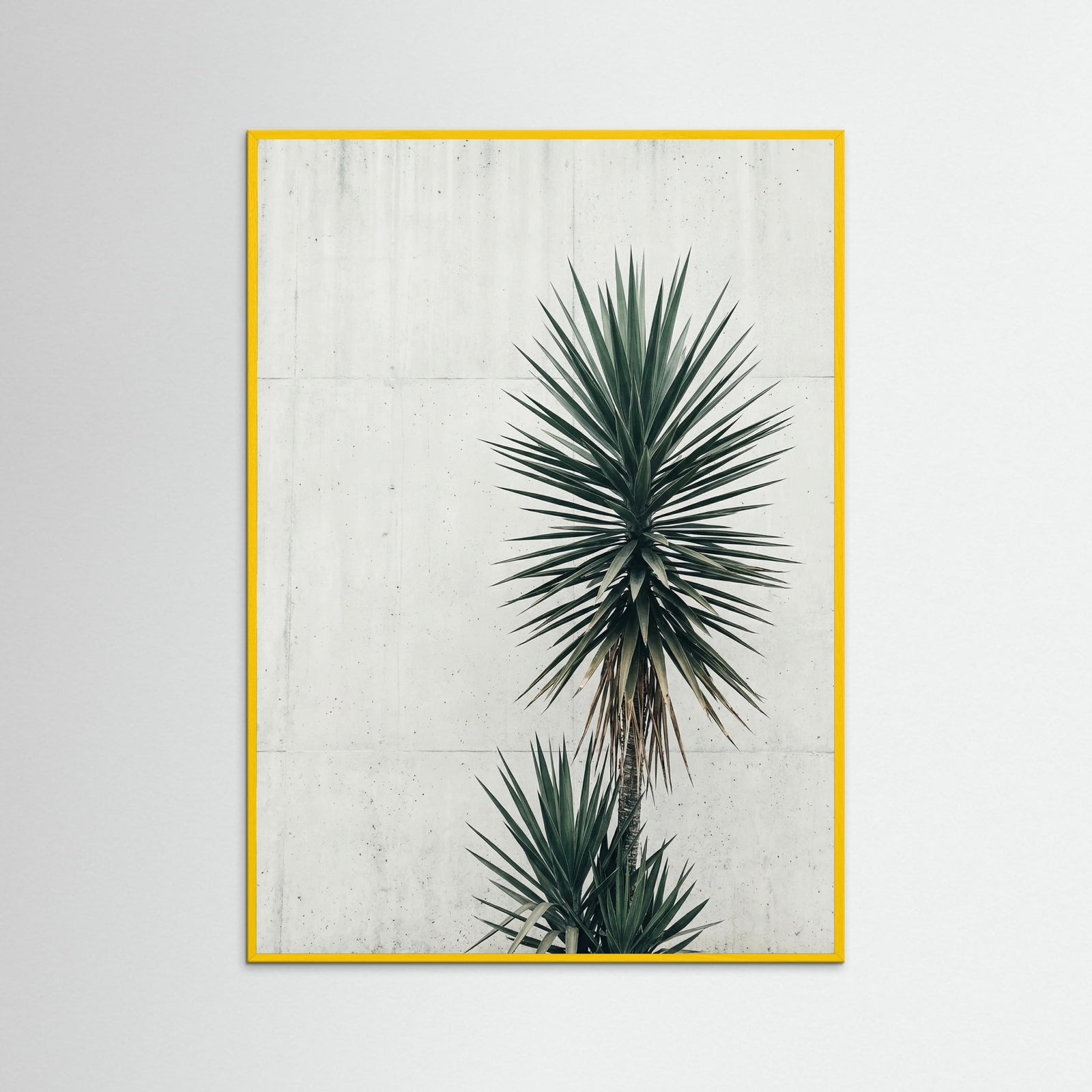 Yellow Wood Urban Palms Vista