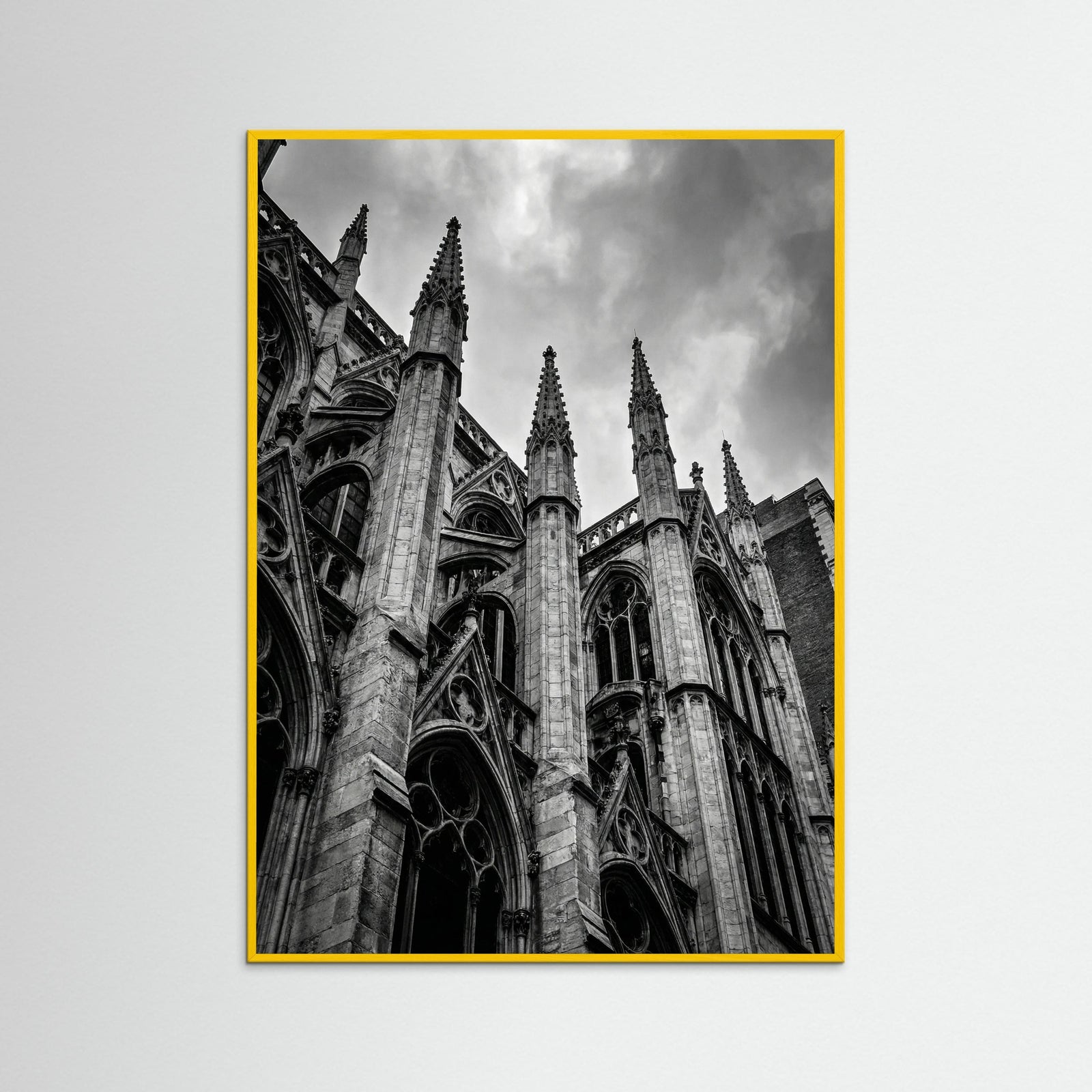 Yellow Wood Urban Zenith