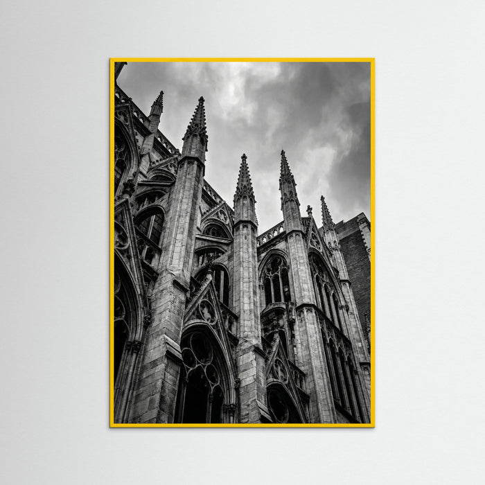 Yellow Wood Urban Zenith