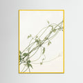 Yellow Wood Verdant Calm